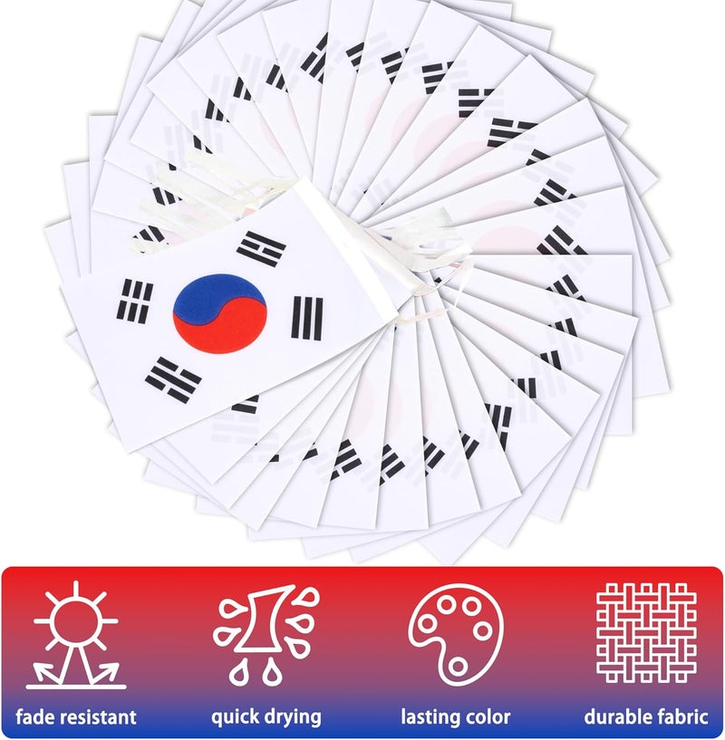 MVPRING Korea String Flag Pennant Banner, Small Mini Korean Flags Bunting Banner, National Country Decoration for School, Party, Sports Events, 33 Feet 30 Flags - Image 4